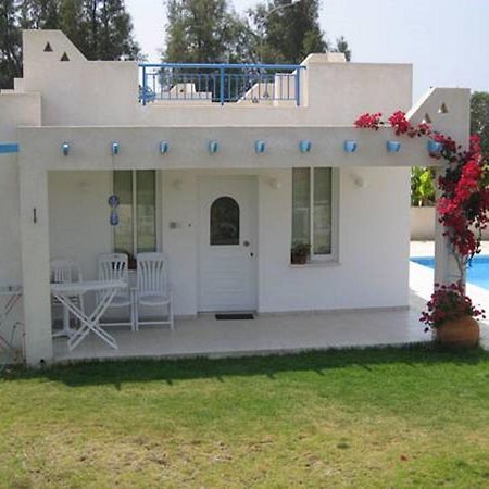 Philippos Complex Villas Paphos Extérieur photo