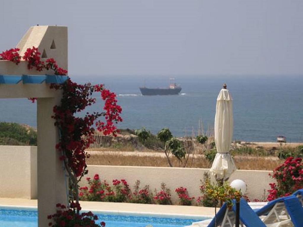 Philippos Complex Villas Paphos Extérieur photo